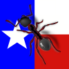 Black light trap - last post by Ants_Texas