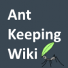 StopSpazzing's Camponotus maritimus Journal (Updated 7-17-18) - last post by StopSpazzing