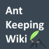 Study: Ants are “immune” to traffic jams - last post by StopSpazzing