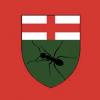 Ants from different province? - last post by Manitobant
