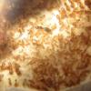 Camponotus sp. with mealworm behavior - last post by Servercheck