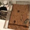 Formicarium for trade or sale in Cali - last post by pauldandler