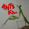 Bugging3out's Paratrechina Longicornis Journal - last post by ANTS_KL