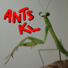 ID - Java, Indonesia - last post by ANTS_KL