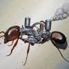 Can I feed my ants bugs I killed with an electric fly swatter? - last post by Shaye