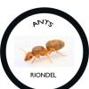 C. J. Howard's Ant Journal - last post by antsriondel