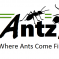 My New Ant Shop! - last post by SpikeyOls