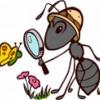 Missing Antennae (Camponotus) - last post by Lieutenant Redundant